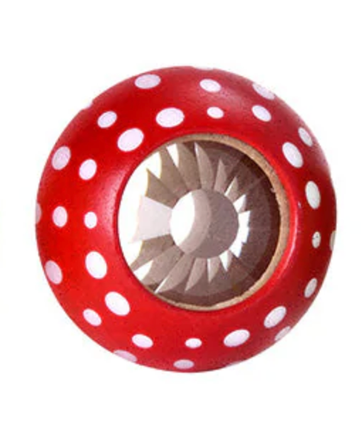 Mushroom Kaleidoscope