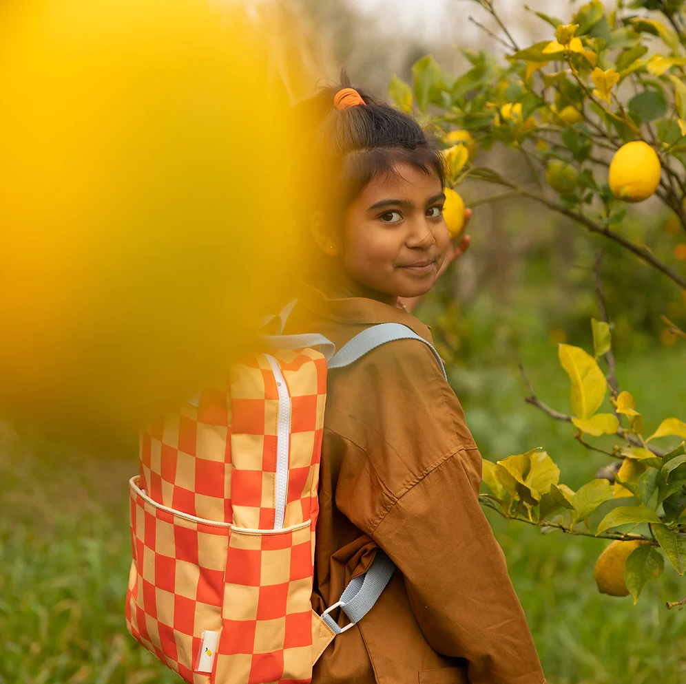 Large Backpack Farmhouse Checkerboard Pear + Ladybird