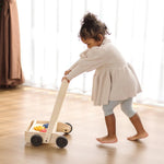 Gear & Go Walker