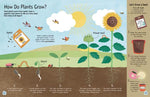 Plant: Explore the Extraordinary World of Plants and Flowers