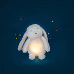 Puce and Pilou Light-Up Rabbit