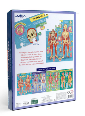 Human Anatomy 48 Piece Puzzle Set/4