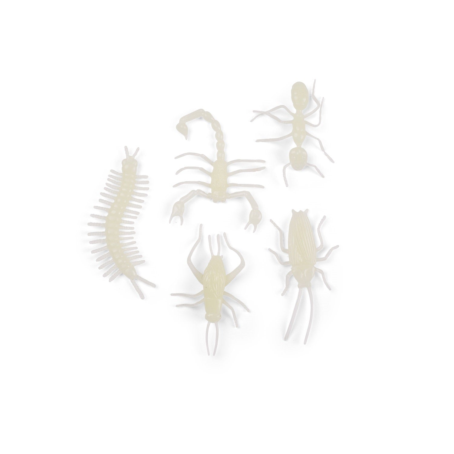 Petites Merveilles Glow-in-the-Dark Insects