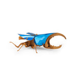 Tout Autour Du Monde 3D Puzzle Hercules Beetle