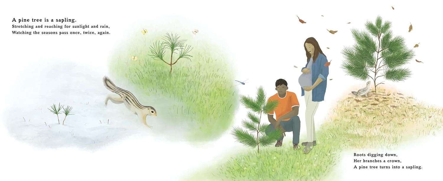 The Pinecone's Secret: A Life Cycle Poem