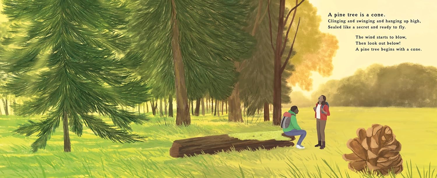 The Pinecone's Secret: A Life Cycle Poem