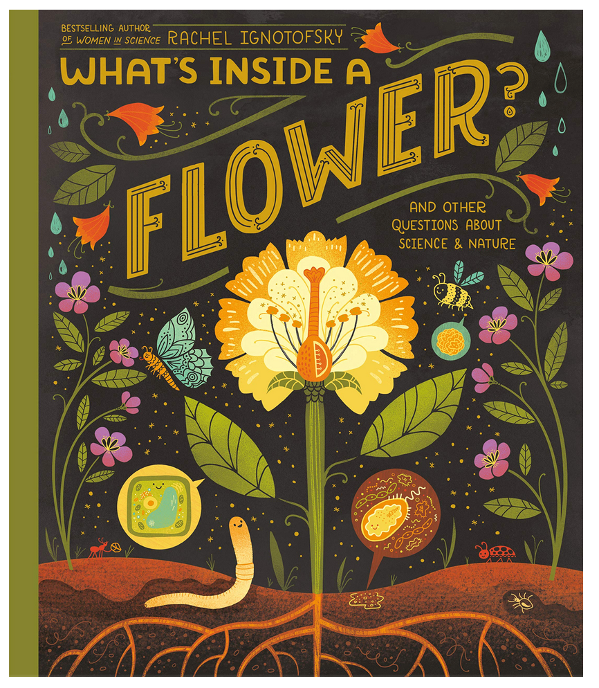 What's Inside a Flower?