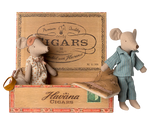 Mom and Dad Mouse in a Cigarbox