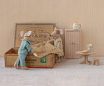 Mom and Dad Mouse in a Cigarbox