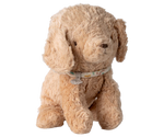 Small Puppy - Dusty Powder