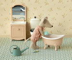 Miniature Bathtub Rose, Mouse