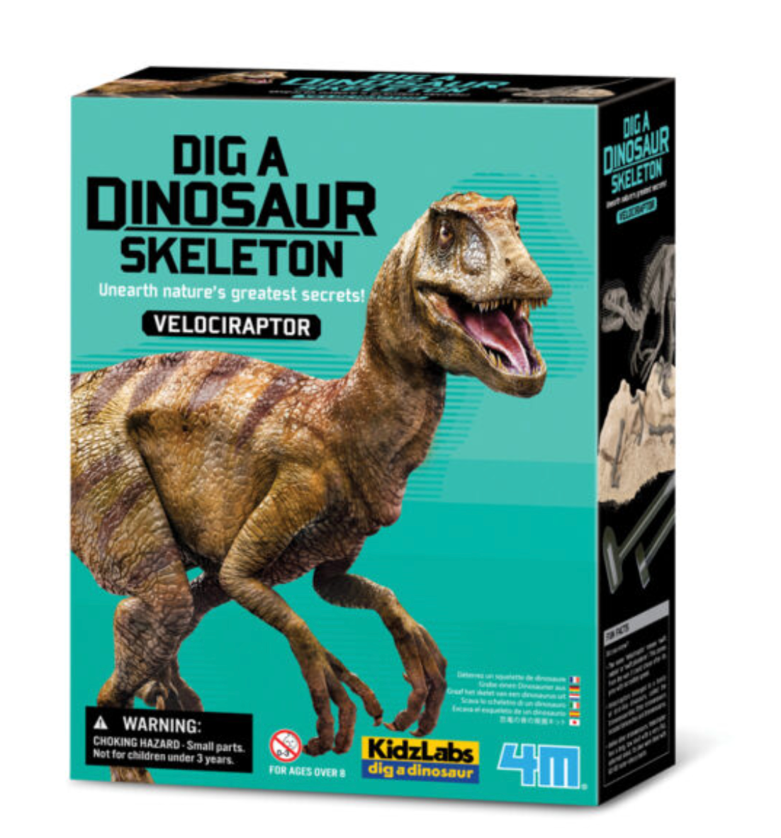 Dig a Dinosaur Skeleton - Velociraptor