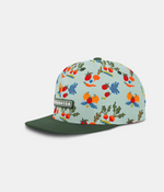 A flat-brim cap with a light blue-green background and a colorful fruit and vegetable print on the crown, featuring a dark green flat brim and a Headster patch on the side.