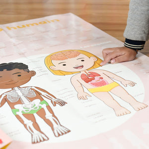 Poppik Discovery Poster Human Body