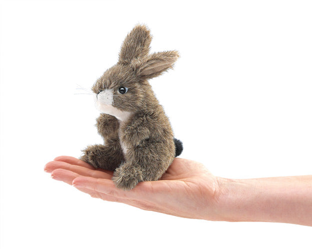 on a white background, a small brown plush jackrabbit in the palm of a hand