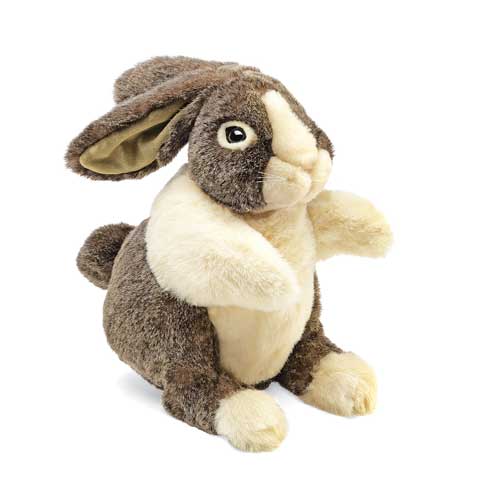 a brown and cream plush dutch bunny on a white background