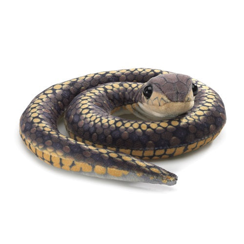 On a white background, A small plush snake oin a coil