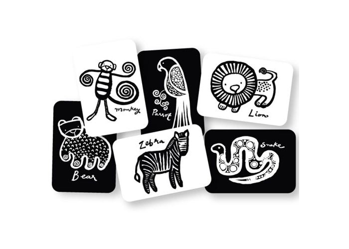black and white images of jungle creatures on cards spead out jauntily on a white background